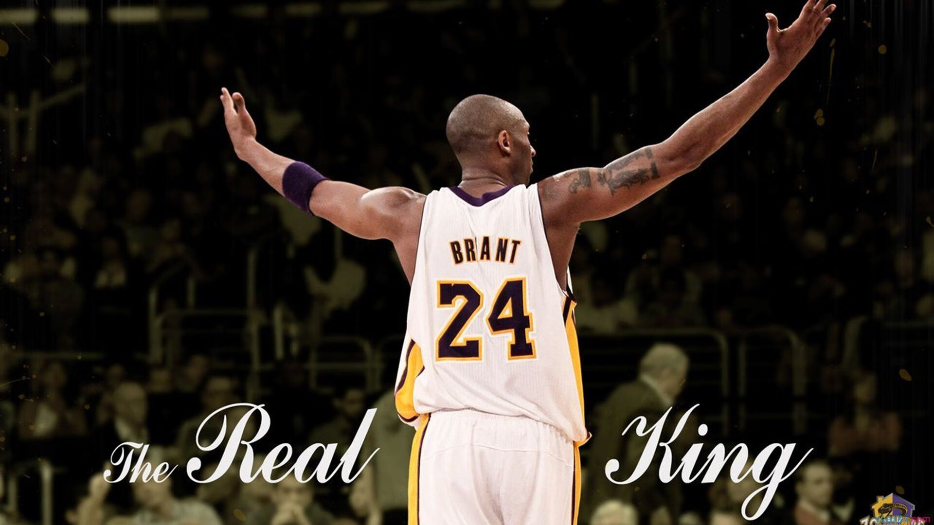 年度焦点之战之夜，范弗利特关键制胜，小人物如何改写命运剧本